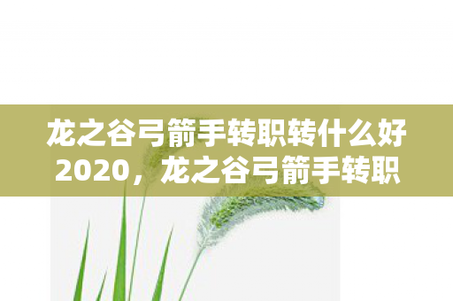 龙之谷弓箭手转职转什么好2020，龙之谷弓箭手转职任务，探索与成长之旅