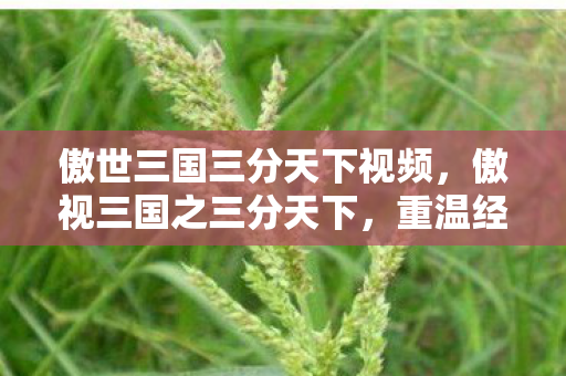 傲世三国三分天下视频,傲视三国之三分天下,重温经典,再燃战火 傲世三国三分天下视频,傲视三国之三分天下,重温经典,再燃战火