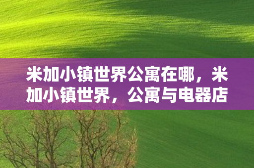 米加小镇世界公寓在哪,米加小镇世界,公寓与电器店的奇妙融合 米加小镇世界公寓在哪,米加小镇世界,公寓与电器店的奇妙融合
