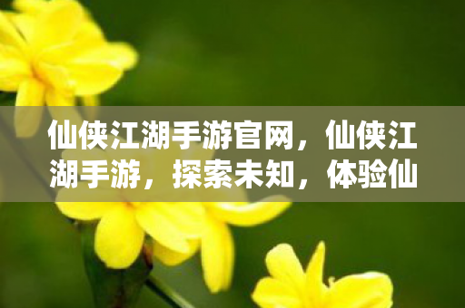 仙侠江湖手游官网,仙侠江湖手游,探索未知,体验仙侠世界的奇妙之旅 仙侠江湖手游官网,仙侠江湖手游,探索未知,体验仙侠世界的奇妙之旅