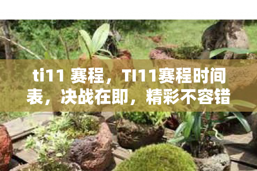 ti11 赛程,TI11赛程时间表,决战在即,精彩不容错过 ti11 赛程,TI11赛程时间表,决战在即,精彩不容错过