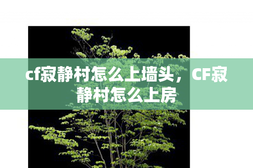 cf寂静村怎么上墙头，CF寂静村怎么上房