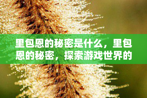 里包恩的秘密是什么，里包恩的秘密，探索游戏世界的独特魅力