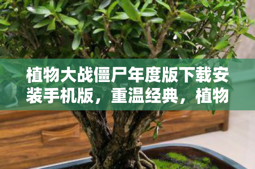 植物大战僵尸年度版下载安装手机版,重温经典,植物大战僵尸年度版下载指南 植物大战僵尸年度版下载安装手机版,重温经典,植物大战僵尸年度版下载指南