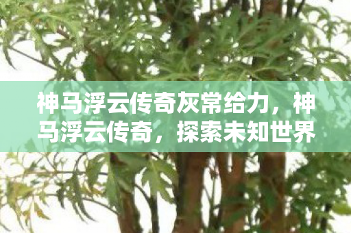 神马浮云传奇灰常给力,神马浮云传奇,探索未知世界的奇幻之旅 神马浮云传奇灰常给力,神马浮云传奇,探索未知世界的奇幻之旅