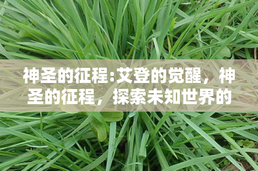 神圣的征程:艾登的觉醒,神圣的征程,探索未知世界的奇幻之旅 神圣的征程:艾登的觉醒,神圣的征程,探索未知世界的奇幻之旅