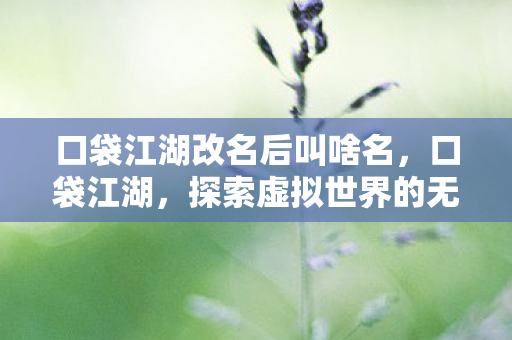 口袋江湖改名后叫啥名,口袋江湖,探索虚拟世界的无限可能 口袋江湖改名后叫啥名,口袋江湖,探索虚拟世界的无限可能