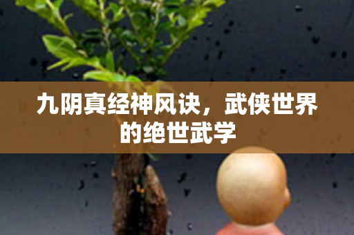 九阴真经神风诀,武侠世界的绝世武学 九阴真经神风诀,武侠世界的绝世武学