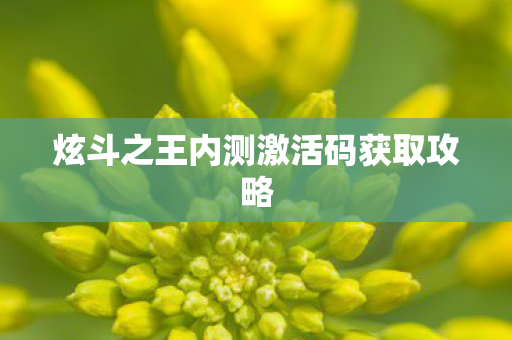 炫斗之王内测激活码获取攻略