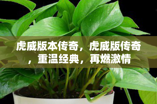 虎威版本传奇,虎威版传奇,重温经典,再燃激情 虎威版本传奇,虎威版传奇,重温经典,再燃激情
