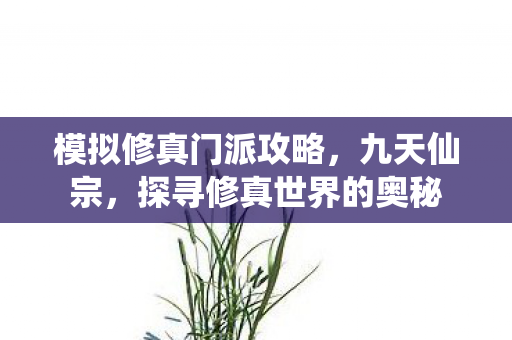 模拟修真门派攻略，九天仙宗，探寻修真世界的奥秘