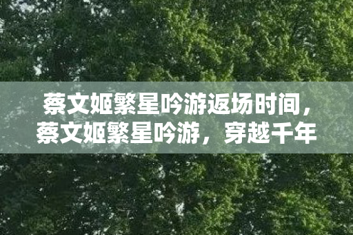 蔡文姬繁星吟游返场时间,蔡文姬繁星吟游,穿越千年的音乐之旅 蔡文姬繁星吟游返场时间,蔡文姬繁星吟游,穿越千年的音乐之旅