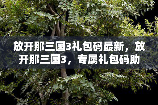 放开那三国3礼包码最新,放开那三国3,专属礼包码助你畅游三国世界 放开那三国3礼包码最新,放开那三国3,专属礼包码助你畅游三国世界