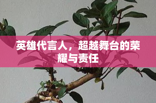 英雄代言人,超越舞台的荣耀与责任 英雄代言人,超越舞台的荣耀与责任