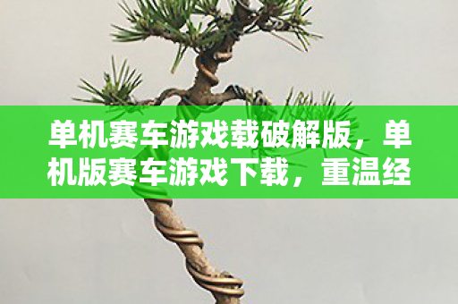 单机赛车游戏载破解版,单机版赛车游戏下载,重温经典,畅享极速 单机赛车游戏载破解版,单机版赛车游戏下载,重温经典,畅享极速