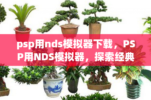 psp用nds模拟器下载,PSP用NDS模拟器,探索经典游戏的数字重生 psp用nds模拟器下载,PSP用NDS模拟器,探索经典游戏的数字重生