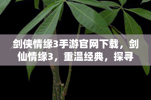 剑侠情缘3手游官网下载,剑仙情缘3,重温经典,探寻江湖的无限可能 剑侠情缘3手游官网下载,剑仙情缘3,重温经典,探寻江湖的无限可能