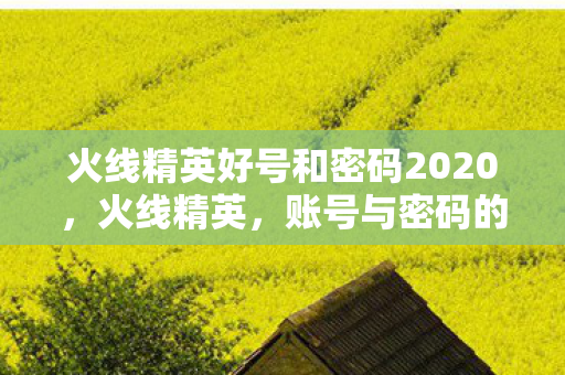 火线精英好号和密码2020，火线精英，账号与密码的珍贵价值