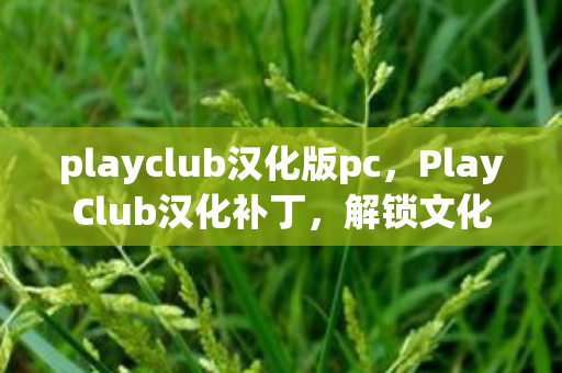 playclub汉化版pc,PlayClub汉化补丁,解锁文化障碍,畅享国际风情 playclub汉化版pc,PlayClub汉化补丁,解锁文化障碍,畅享国际风情
