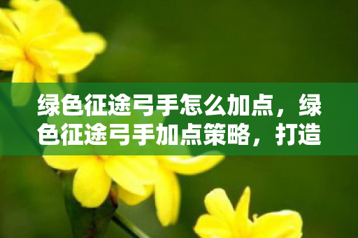绿色征途弓手怎么加点，绿色征途弓手加点策略，打造高效战斗力的关键