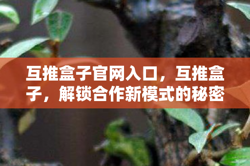 互推盒子官网入口，互推盒子，解锁合作新模式的秘密武器