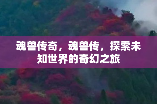 魂兽传奇，魂兽传，探索未知世界的奇幻之旅