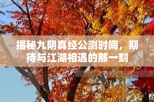 揭秘九阴真经公测时间，期待与江湖相遇的那一刻