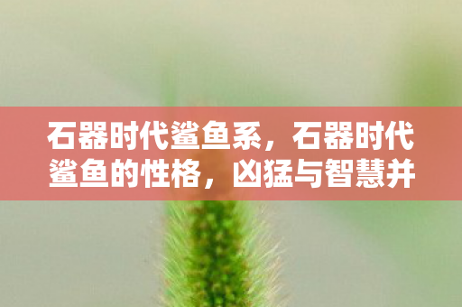 石器时代鲨鱼系，石器时代鲨鱼的性格，凶猛与智慧并存