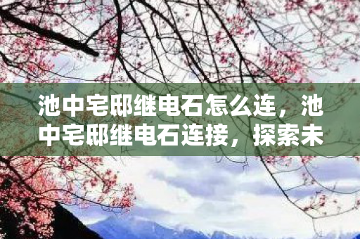 池中宅邸继电石怎么连,池中宅邸继电石连接,探索未知领域的奇妙之旅 池中宅邸继电石怎么连,池中宅邸继电石连接,探索未知领域的奇妙之旅