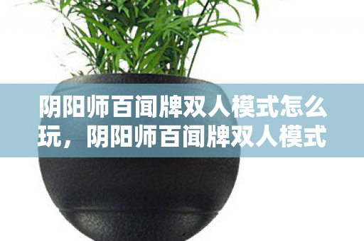 阴阳师百闻牌双人模式怎么玩，阴阳师百闻牌双人模式，策略与默契的双重挑战