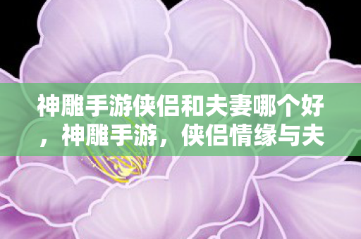 神雕手游侠侣和夫妻哪个好,神雕手游,侠侣情缘与夫妻共战的浪漫之旅 神雕手游侠侣和夫妻哪个好,神雕手游,侠侣情缘与夫妻共战的浪漫之旅