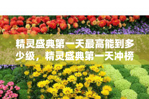精灵盛典第一天最高能到多少级,精灵盛典第一天冲榜,策略与技巧 精灵盛典第一天最高能到多少级,精灵盛典第一天冲榜,策略与技巧