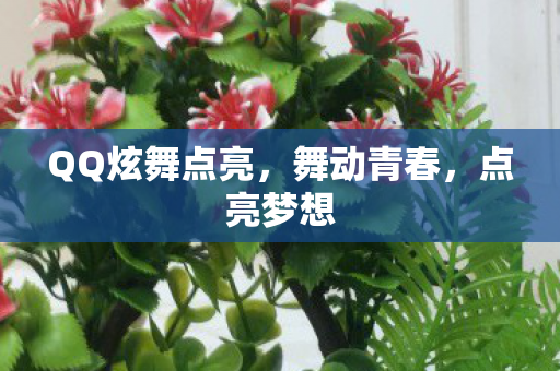 QQ炫舞点亮,舞动青春,点亮梦想 QQ炫舞点亮,舞动青春,点亮梦想