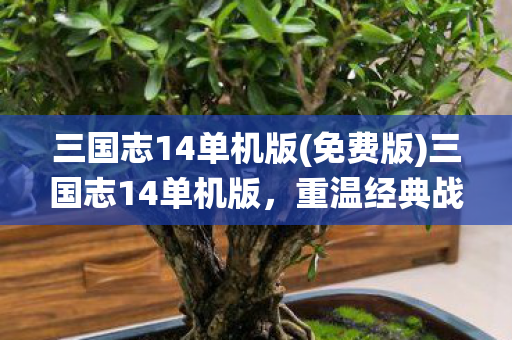 三国志14单机版(免费版)三国志14单机版，重温经典战役，领略历史风云