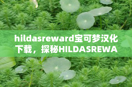hildasreward宝可梦汉化下载，探秘HILDASREWARD，解锁游戏世界的无限可能