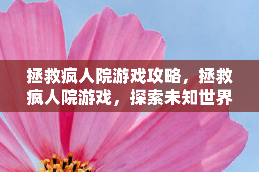 拯救疯人院游戏攻略，拯救疯人院游戏，探索未知世界的奇妙冒险