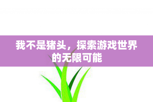 我不是猪头，探索游戏世界的无限可能