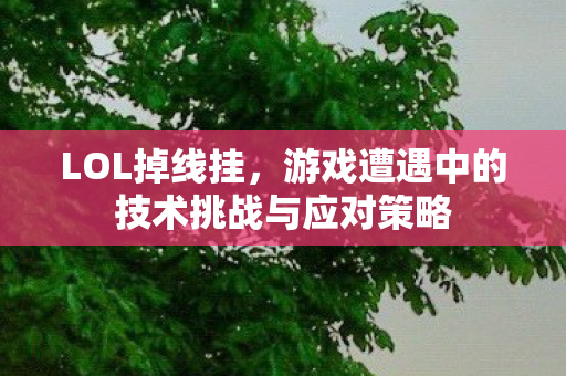 LOL掉线挂，游戏遭遇中的技术挑战与应对策略