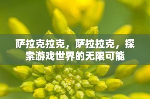 萨拉克拉克,萨拉拉克,探索游戏世界的无限可能 萨拉克拉克,萨拉拉克,探索游戏世界的无限可能