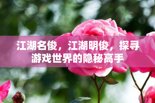江湖名俊，江湖明俊，探寻游戏世界的隐秘高手