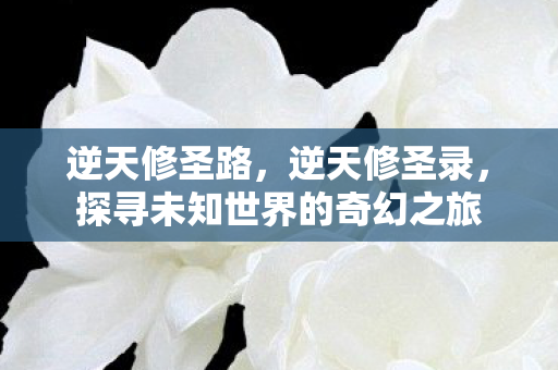 逆天修圣路,逆天修圣录,探寻未知世界的奇幻之旅 逆天修圣路,逆天修圣录,探寻未知世界的奇幻之旅