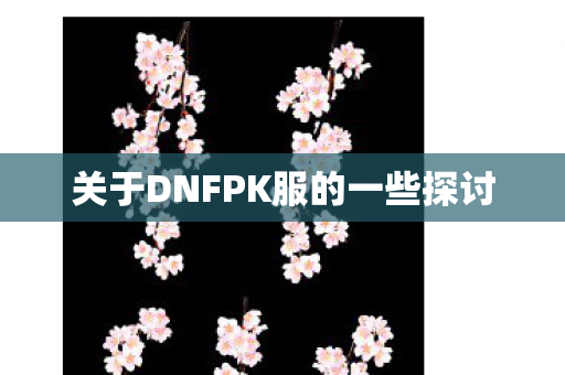 关于DNFPK服的一些探讨 关于DNFPK服的一些探讨