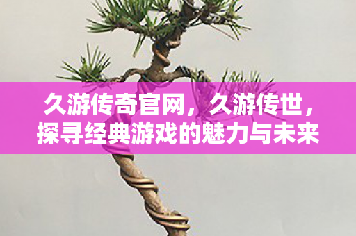 久游传奇官网,久游传世,探寻经典游戏的魅力与未来 久游传奇官网,久游传世,探寻经典游戏的魅力与未来