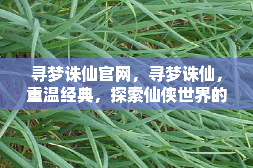 寻梦诛仙官网,寻梦诛仙,重温经典,探索仙侠世界的无尽奥秘 寻梦诛仙官网,寻梦诛仙,重温经典,探索仙侠世界的无尽奥秘