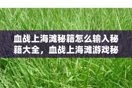 血战上海滩秘籍怎么输入秘籍大全,血战上海滩游戏秘籍,经典战役中的生存与胜利之道 血战上海滩秘籍怎么输入秘籍大全,血战上海滩游戏秘籍,经典战役中的生存与胜利之道