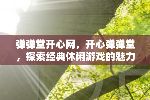 弹弹堂开心网,开心弹弹堂,探索经典休闲游戏的魅力 弹弹堂开心网,开心弹弹堂,探索经典休闲游戏的魅力