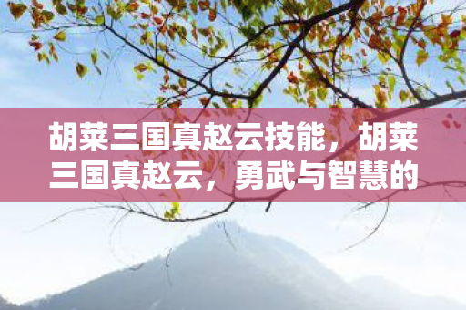 胡莱三国真赵云技能，胡莱三国真赵云，勇武与智慧的化身
