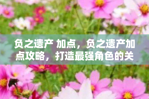 负之遗产 加点，负之遗产加点攻略，打造最强角色的关键步骤