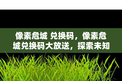 像素危城 兑换码,像素危城兑换码大放送,探索未知世界的冒险之旅 像素危城 兑换码,像素危城兑换码大放送,探索未知世界的冒险之旅