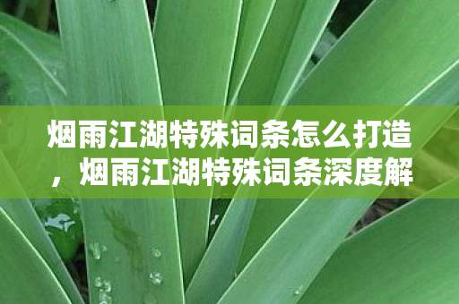 烟雨江湖特殊词条怎么打造，烟雨江湖特殊词条深度解析，探寻江湖中的隐秘力量